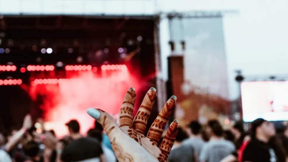 Público em um show